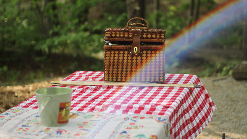 HIP Family Picnic